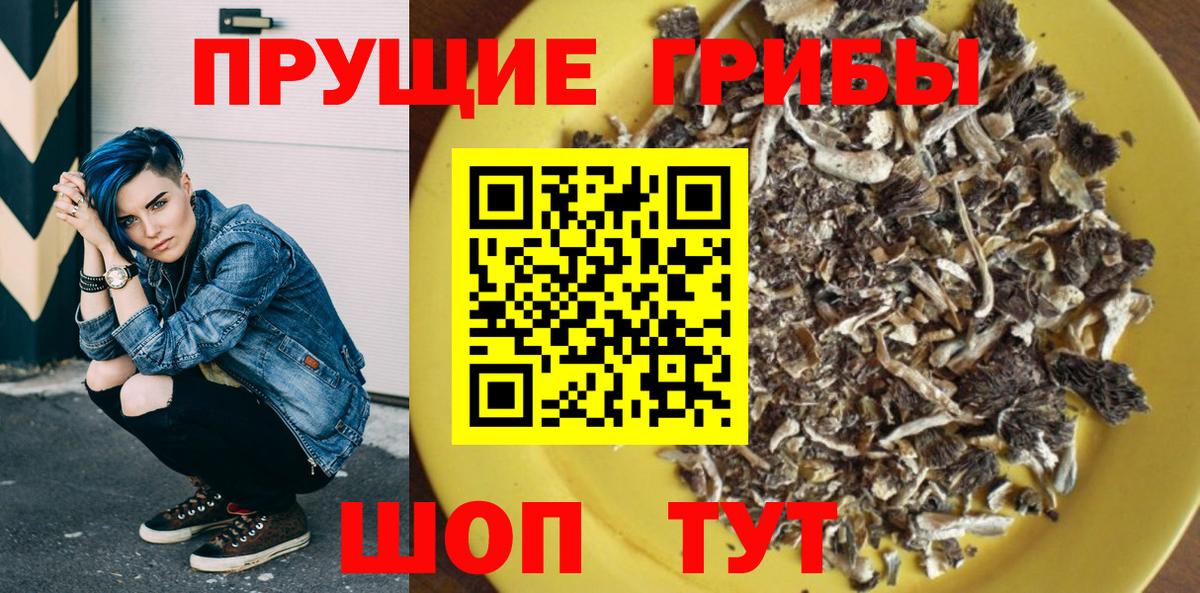 Галлюциногенные грибы Psilocybine cubensis Бор