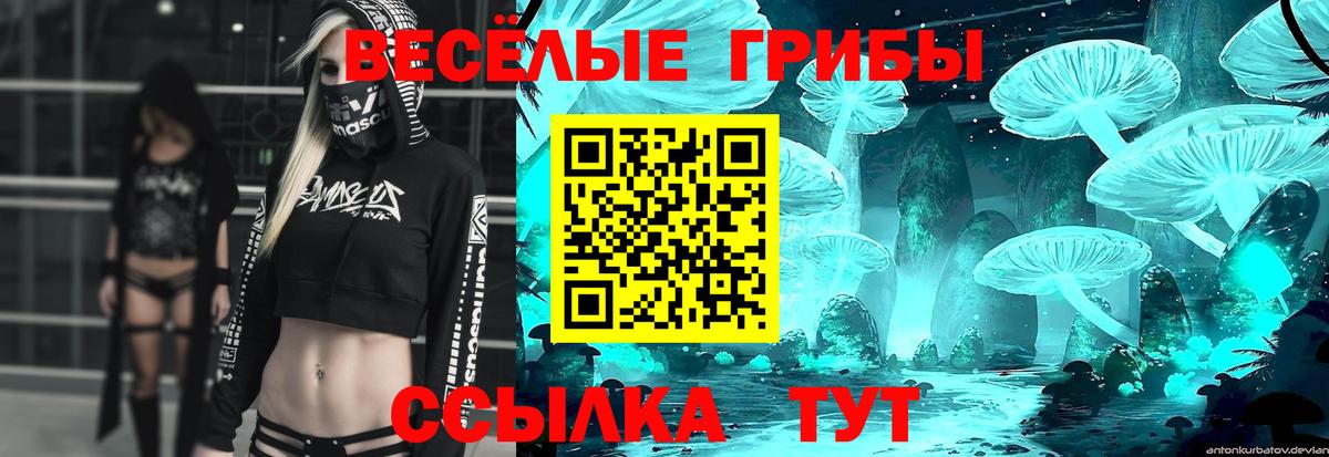 Мефедрон  COCAIN  ЭКСТАЗИ  Метадон  ГАШ  МАРИХУАНА  Лсд 25  Меф МЯУ МЯУ кристаллы  Бор  Вход с VPN 